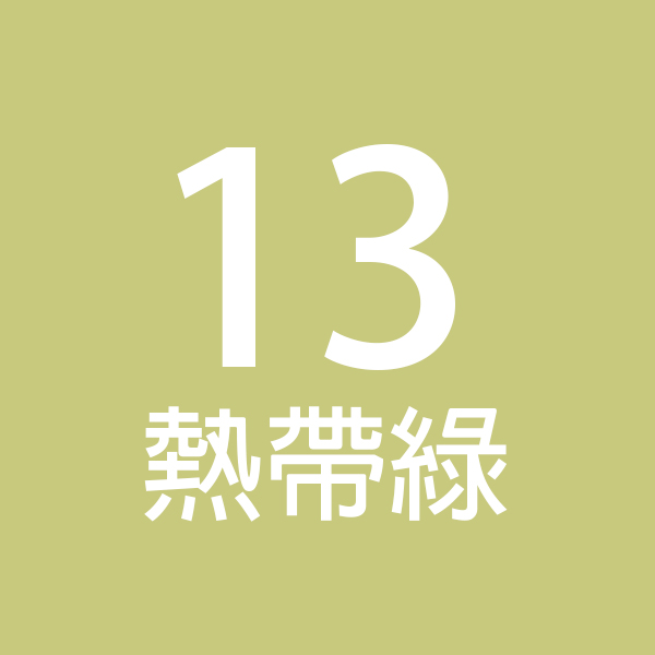CL專業無縫攝影背景紙 2.72x11m (13熱帶綠)
