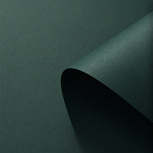 KEYSTONE 中國色 背景紙80*110-冬青綠