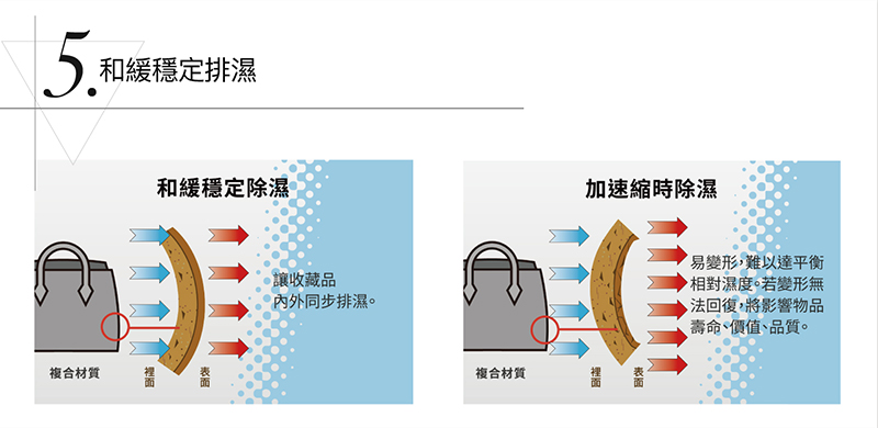 收藏家電子防潮箱，和緩除濕